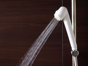 シャワーヘッドの取り付け方法 ガイアの水135 | ガイアの水135浄水 